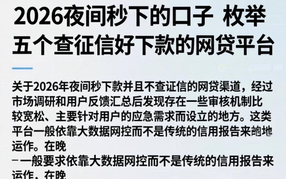 2026夜间秒下的口子，枚举五个不查征信好下款的网贷平台
