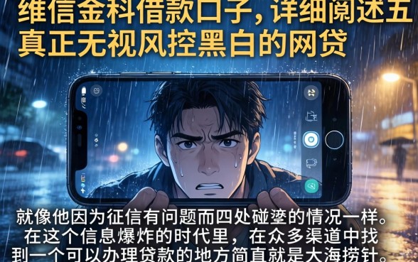 维信金科借款口子，详细阐述五个真正无视风控黑白的网贷