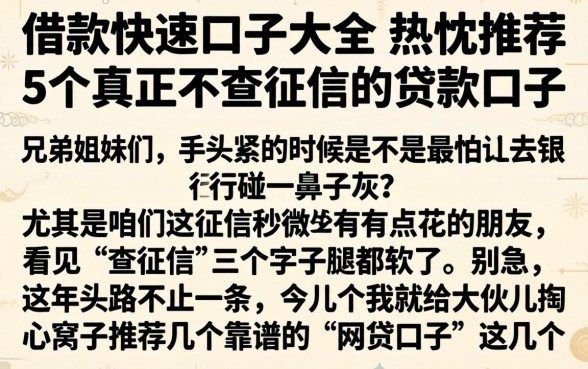 借款快速的口子大全，热忱推荐5个真正不查征信的贷款口子