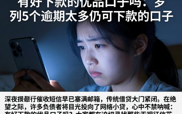 有好下款的优品口子吗，罗列5个逾期太多仍可下款的口子