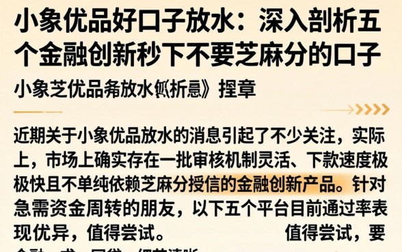 小象优品好口子放水,深入剖析五个金融创新秒下不要芝麻分的口子