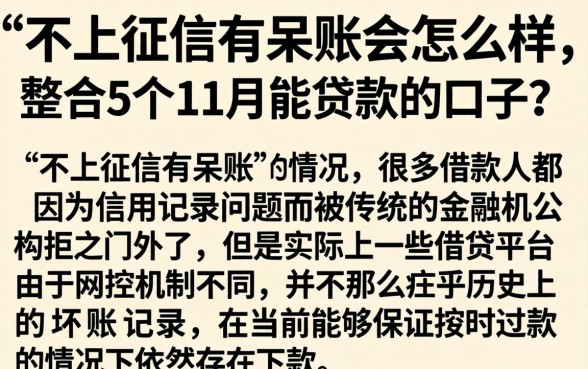 不上征信有呆账会怎么样，整合5个11月能贷款的口子