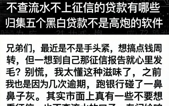 不查流水不上征信的贷款有哪些，归集五个黑白贷款不是高炮的软件