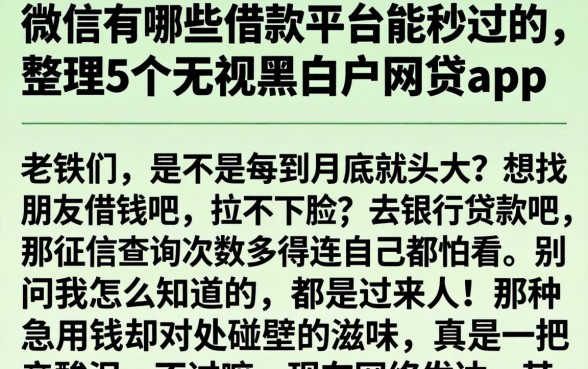 微信有哪些借款平台能秒过的,整理5个无视黑白户网贷app
