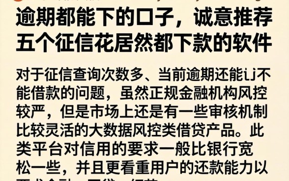 逾期都能下的口子，诚意推荐五个征信花居然都下款的软件