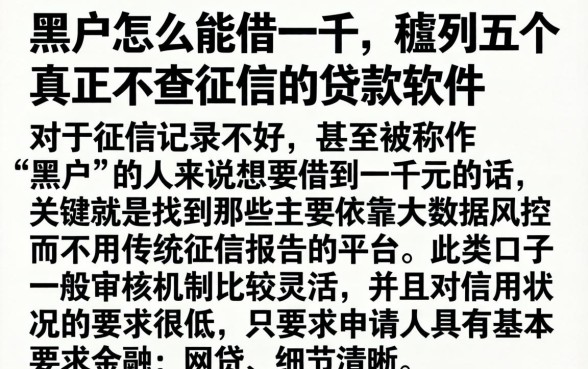 黑户怎么能借一千，胪列五个真正不查征信的贷款软件