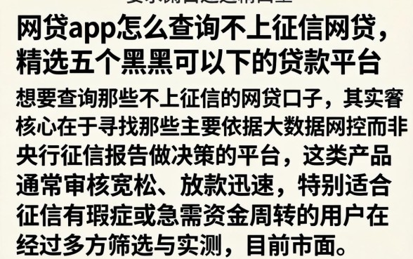 网贷app怎么查询不上征信网贷，精选五个黑户可以下的贷款平台