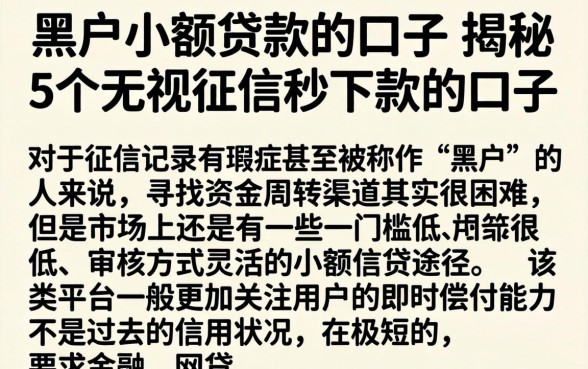 黑户小额贷款的口子，揭秘5个无视征信秒下款的口子