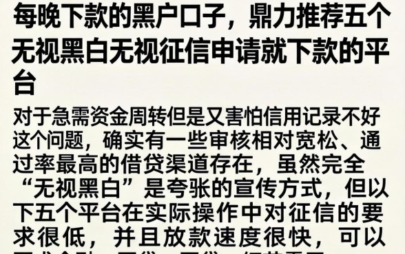 每晚下款的黑户口子，鼎力推荐五个无视黑白无视征信申请就下款的平台