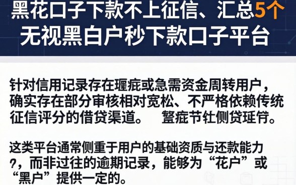 黑花口子下款不上征信，汇总5个无视黑白户秒下款口子平台