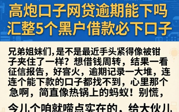 高炮口子网贷逾期能下吗，汇整5个黑户借款必下口子