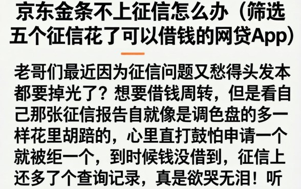 京东金条不上征信怎么办，筛选五个征信花了可以借钱的网贷app