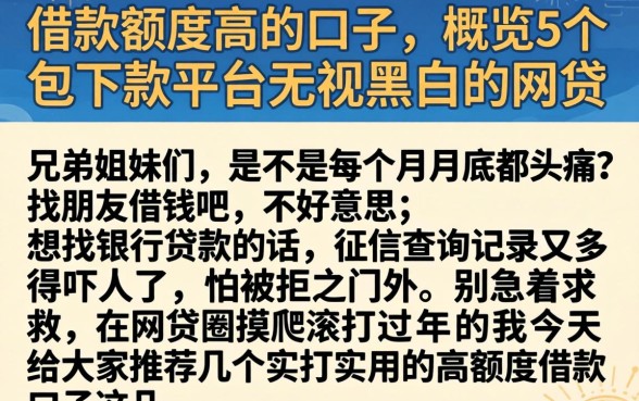 借款额度高的口子，概览5个包下款平台无视黑白的网贷