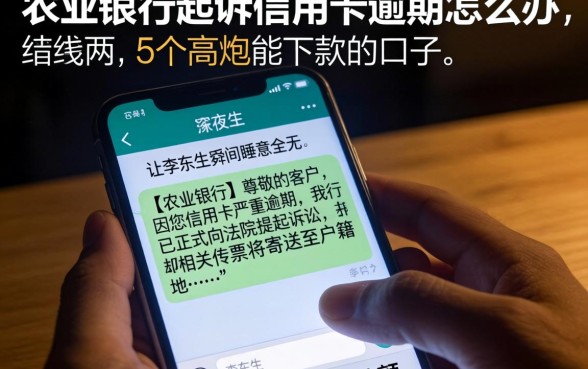 农业银行起诉信用卡逾期怎么办，细致阐述5个高炮能下款的口子