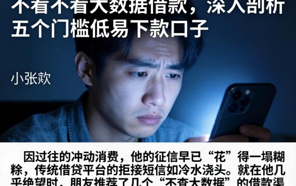 不看不看大数据借款,深入剖析五个门槛低易下款口子
