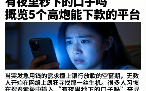 有夜里秒下的口子吗，概览5个高炮能下款的平台