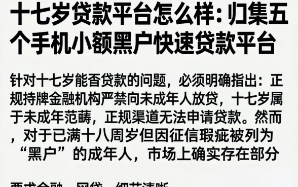 十七岁贷款平台怎么样，归集五个手机小额黑户快速贷款平台