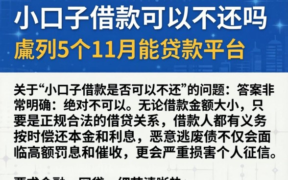 小口子借款可以不还吗,胪列5个11月能贷款的平台