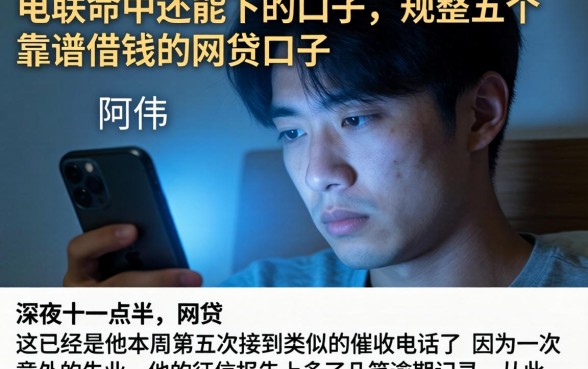 电联命中还能下的口子，规整五个靠谱借钱的网贷口子