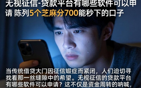 无视征信的贷款平台有哪些软件可以申请，陈列5个芝麻分700能秒下的口子