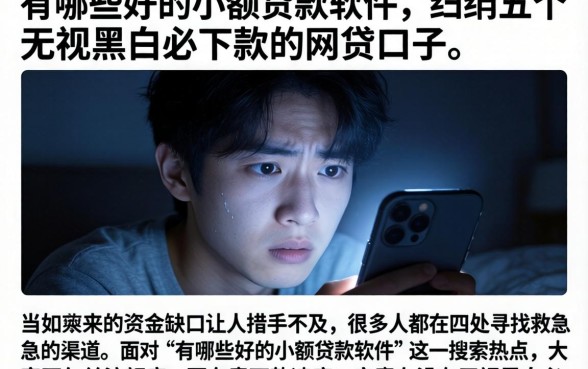 有哪些好的小额贷款软件，归纳五个无视黑白必下款的网贷口子