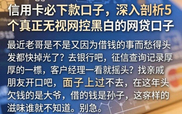 信用卡必下款口子，深入剖析5个真正无视风控黑白的网贷口子