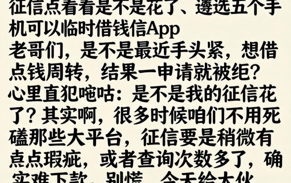 征信怎么看是不是花了，遴选五个手机可以临时借钱的app