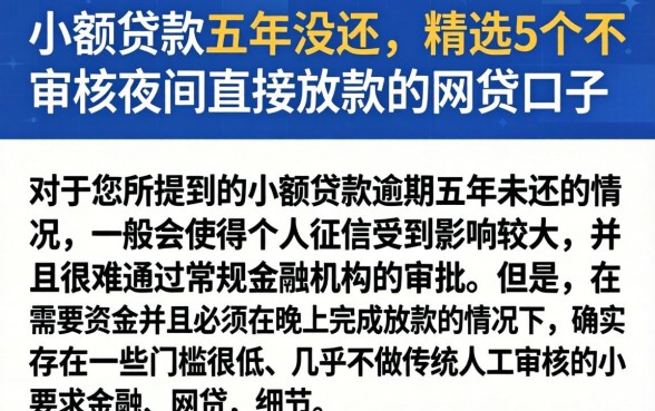 小额贷款五年没还，精选5个不审核夜间直接放款的网贷口子