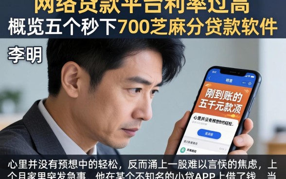 网络贷款平台利率过高，概览五个秒下700芝麻分贷款软件