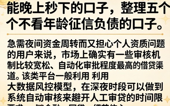 能晚上秒下的口子，整理五个不看年龄征信负债的口子