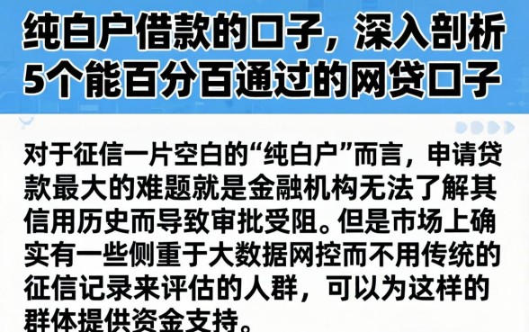 纯白户借款的口子，深入剖析5个能百分百通过的网贷口子