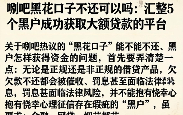 贴吧黑花口子不还可以吗，汇整5个黑户成功获取大额贷款的平台