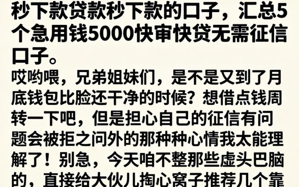 秒下款贷款秒下款的口子，汇总5个急用钱5000快审快贷无需征信口子
