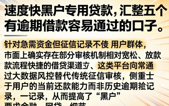 速度快黑户专用贷款，汇整五个有逾期借款容易通过的口子
