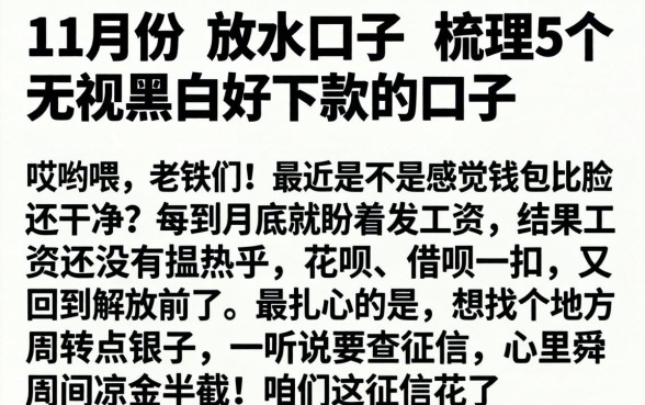 11月份的放水口子，梳理5个无视黑白好下款的口子