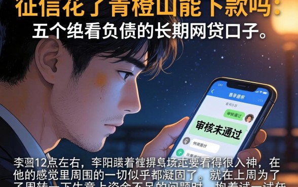 征信花了青橙山能下款吗，详细阐述五个不看负债的长期网贷口子