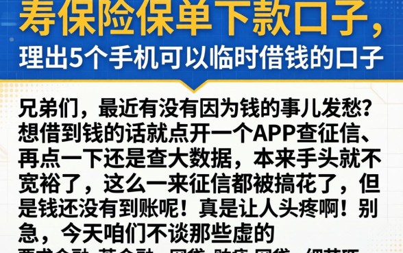 寿险保单下款的口子，理出5个手机可以临时借钱的口子