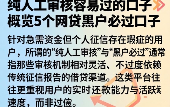 纯人工审核容易过的口子，概览5个网贷黑户必过口子