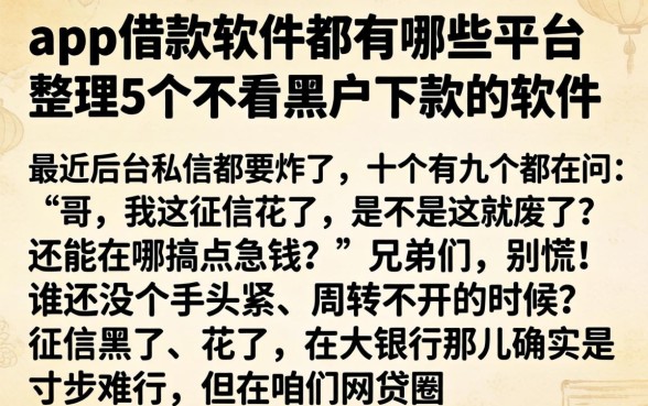 app借款软件都有哪些平台，整理5个不看黑户下款的软件