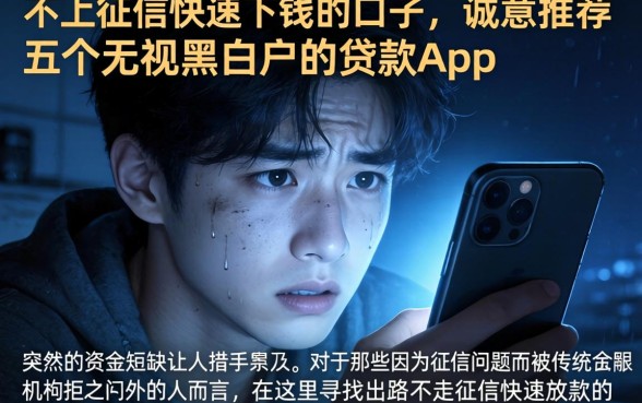 不上征信快速下钱的口子，诚意推荐五个无视黑白户的贷款app