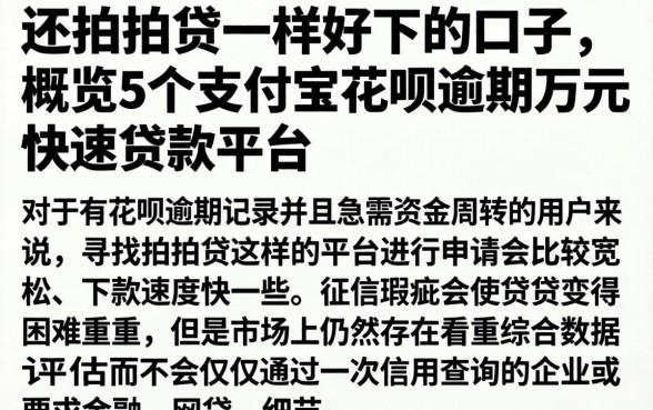 还拍拍贷一样好下的口子，概览5个支付宝花呗逾期万元快速贷款平台