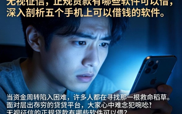 无视征信的正规贷款有哪些软件可以借，深入剖析五个手机上可以借钱的软件
