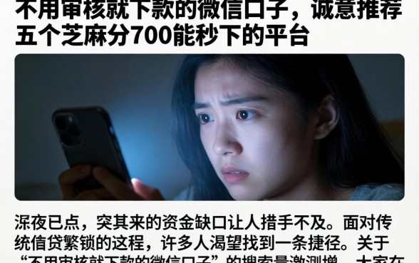 不用审核就下款的微信口子，诚意推荐五个芝麻分700能秒下的平台