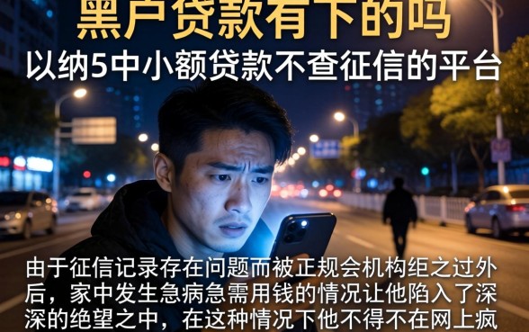 黑户贷款有下的吗，归纳5个小额贷款不查征信的平台