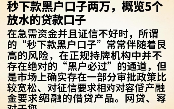 秒下款黑户口子两万，概览5个放水的贷款口子