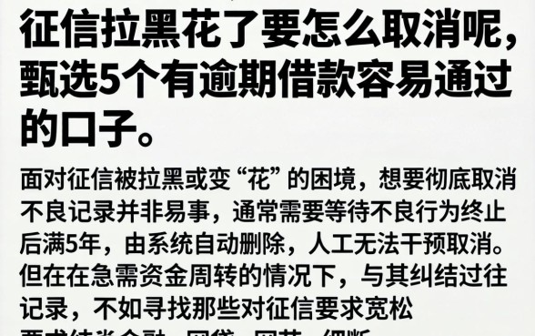 征信拉黑花了要怎么取消呢，甄选5个有逾期借款容易通过的口子