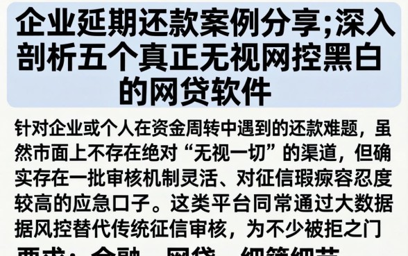 企业延期还款案例分享，深入剖析五个真正无视风控黑白的网贷软件