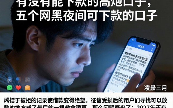 有没有能下款的高炮口子，概括五个网黑夜间可下款的口子