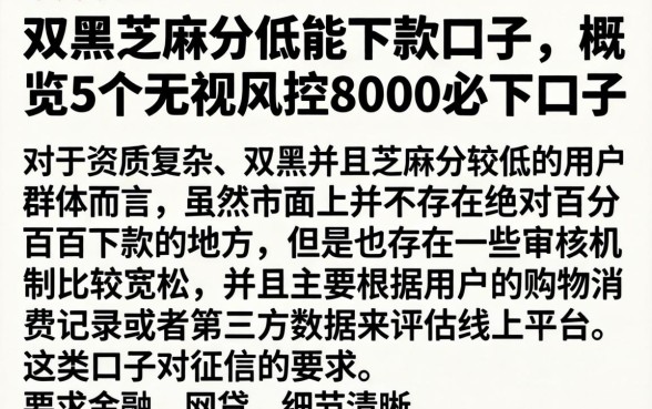 双黑芝麻分低能下款口子，概览5个无视风控8000必下口子