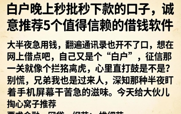 白户晚上秒批秒下款的口子，诚意推荐5个值得信赖的借钱软件